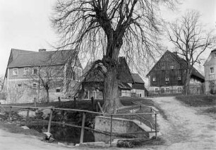 Seidewitz : Dorfkern mit Gehöften und Linde