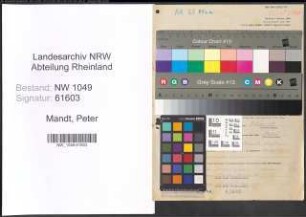 Entnazifizierung Peter Mandt , geb. 06.04.1899 (Angestellter)