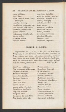 Prager Glossen.