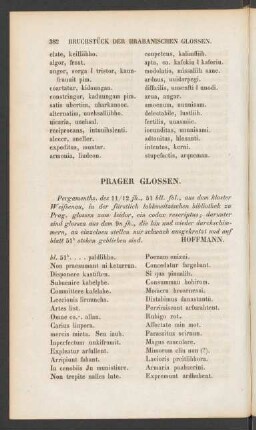Prager Glossen.
