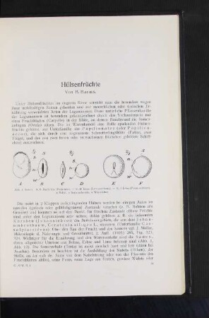 Hülsenfrüchte.