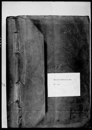 Jahresbericht des Kaiserlichen Gouverneurs für das Berichtsjahr 1903/1904