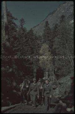 Soldaten mit Lasttieren im Kaukasus