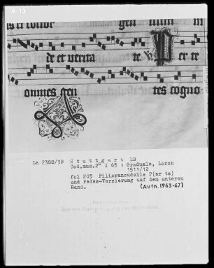 Graduale (Benediktinerhandschrift) — Pedes-Verziehrung, Folio 203recto