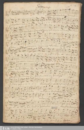 Ms. Ff. Mus. 1527 - Am 1. Sontag nach der Offenbahrung Christi : â violino 1, violino 2, violoncello, continuo, soprano, alto, tenore, basso