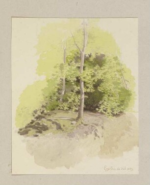 Waldpartie