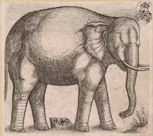 Ein Elefant (Fälschung)