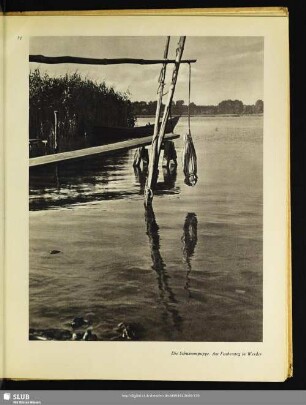 Die Schwimmpuppe. Am Fischersteg in Werder
