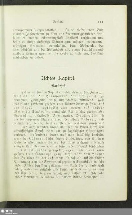 Achtes Kapitel. Vorsicht!