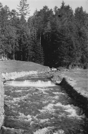 Abfluß des Kleinen Arbersees : Waldbach als Abfluss des Kleinen Arbersees