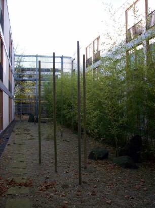 Dresden: Max-Planck-Institut