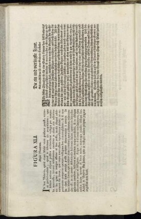 Figura XLI. = Die ein und viertzigste Figur. - Figura L. = Die funfftzigste Figur.