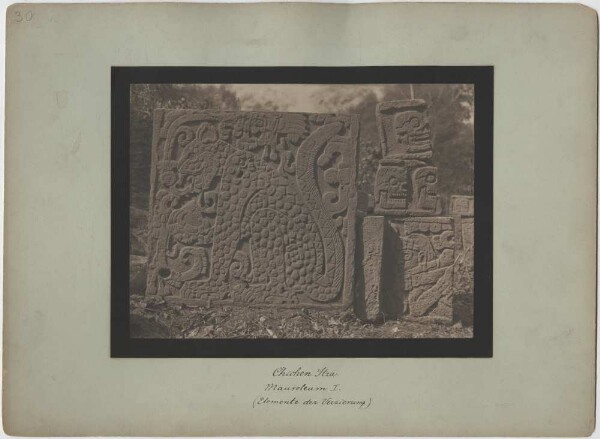 "Mausoleum I. Elements of the decoration of the 'Tzompantli' and the eagle and jaguar platform."