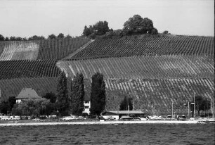 Meersburg: Weinberge am Bodensee (vom See aus)