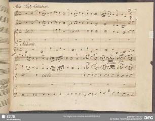 Leucippo. Excerpts - Mus.1-F-49,4-17 : S, strings, bc;G