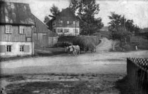 Heuernte mit Kuhgespann am Postberg