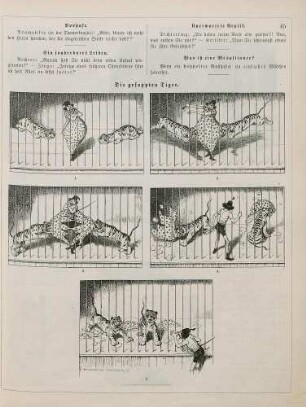 "Die gefoppten Tiger"
