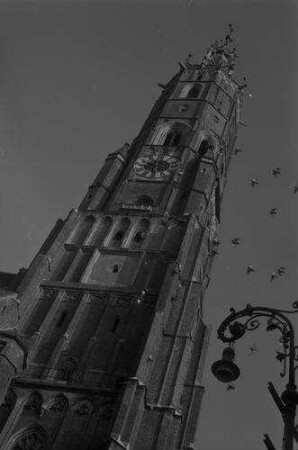 Landshut: Turm der Martinskirche von unten, mit Tauben