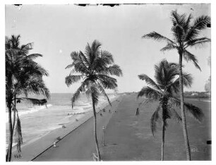 Colombo (Sri Lanka). Strand und Uferpromenade mit Palmen. Blick vom Galle Face Hotel