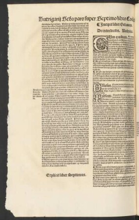Incipit liber Octavus.