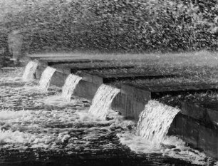 Hamburg. Internationale Gartenbauausstellung (IGA) auf dem Gelände von Planten un Blomen 1963. Ein Wasserspiel