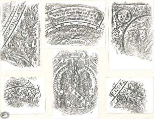 Lange, Ludwig; Lange - Archiv: XII.3 Malereien, vorw. figürlich (it. Renaissance) - Details