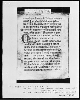 Psalterium — Initiale Q (uam), Folio 81verso