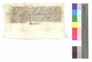 Sigmund von Pfahlheim (Pfalhain) verleiht Hans und Heintz Heller zu Elberswinden 3 1/2 Morgen Äcker zu Pfahlheim (Pfalhein).