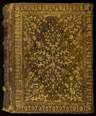 Biblia sacra : Hdschr. 286