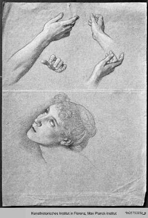 Hand- und Kopfstudien für "Christi Abstieg in den Limbus", Cappella Raffo, Cimitero delle Misericordie, Siena - La dicesa di Gesù al Limbo