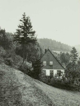 Oswaldbachtal, Grube Treue Freundschaft, Huthaus Carl Heidinger und Hang mit Halden