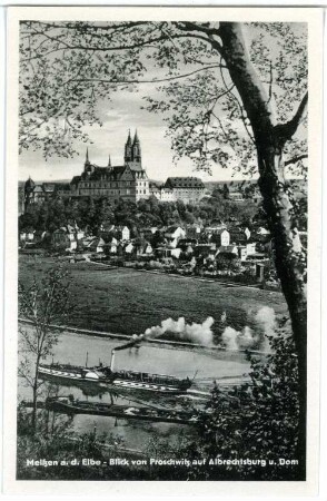 Meißen. Blick von Proschwitz - Elbe mit Dampfer