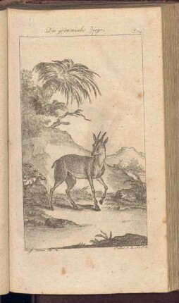 Die grimmische Ziege