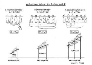 Arbeitsverfahren im Anbindestall
