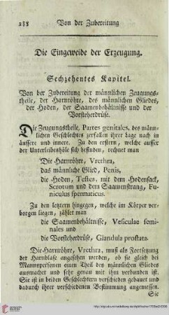 Die Eingeweide der Erzeugung