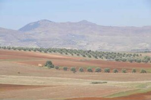 Meknes - Landschaft mit Ackerflächen : Landschaft mit Ackerflächen in der Nähe von Meknes, aufgenommen am 28. Oktober 2010