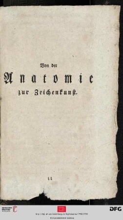 Von der Anatomie zur Zeichenkunst