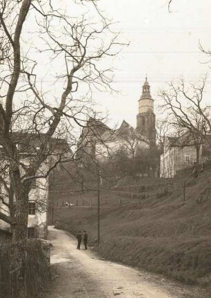 Kamenz, Stadtkirche : Stadtkirche St. Marien, Blick von der Talstraße im Herrental (von Osten)