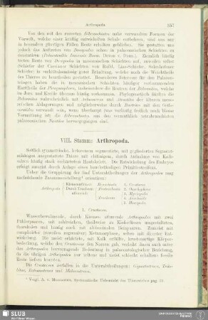 VIII. Stamm: Arthropoda