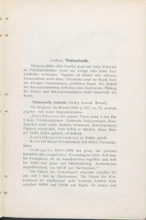 Gattung Thalassicolla.