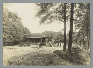 Schneide Mühle im Wald in Prießnitz bei Bad Lausick : Prießnitz. Blick zur Schneidemühle