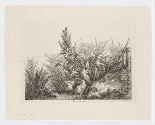 Patience d’Eau, Etude, aus: "Landschaftsstudien"
