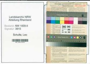 Entnazifizierung Leo Schulte , geb. 18.04.1913 (Einzelhaendler)