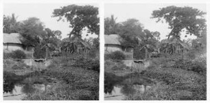 Hütten im Wald (Vielleicht bei Madras) : Weltreisen. Hütten im Wald (wohl bei Madras)