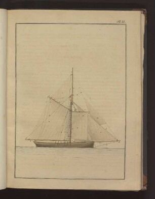 Pl. 41.