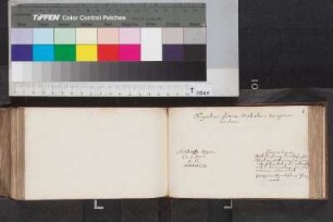 Hammer, Georg Reichard; Blatt 6