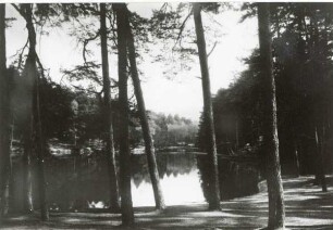 Donoperteich in Hiddesen