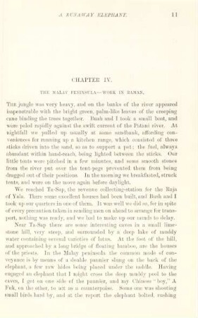 Chapter IV. The Malay peninsula - work in Raman