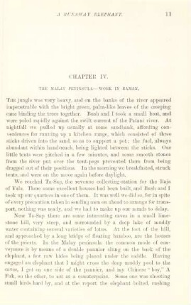 Chapter IV. The Malay peninsula - work in Raman