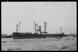Sigfried J. Nimtz ex Stettiner Greif (1938), Nimtz & Henning, Stettin